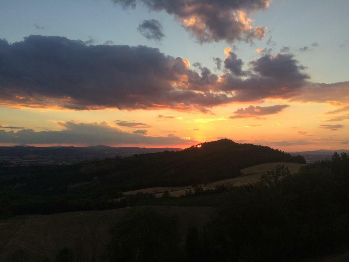コッラッツォーネUmbria, "Casa Sagrantina" Con Piscina E Pergolatoアパートメント エクステリア 写真