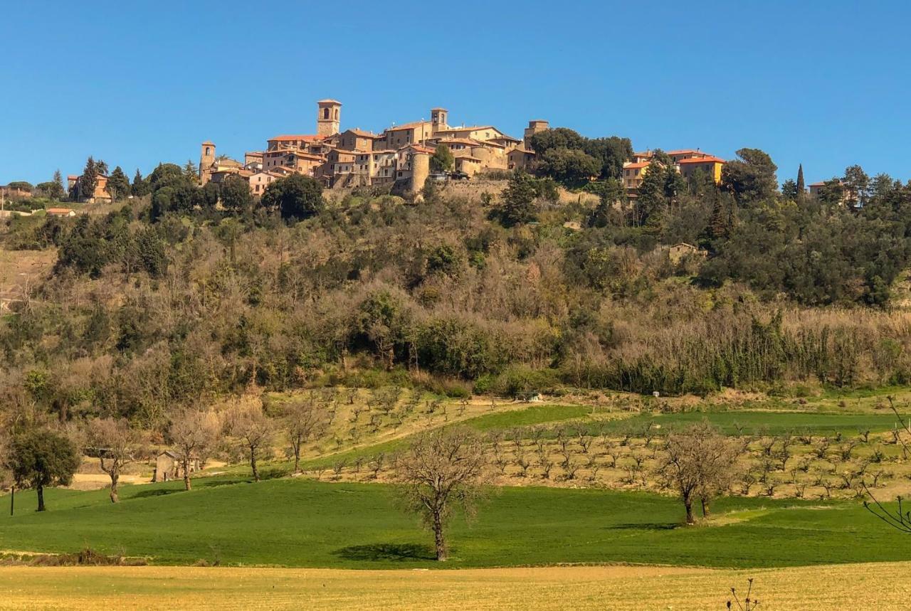 コッラッツォーネUmbria, "Casa Sagrantina" Con Piscina E Pergolatoアパートメント エクステリア 写真